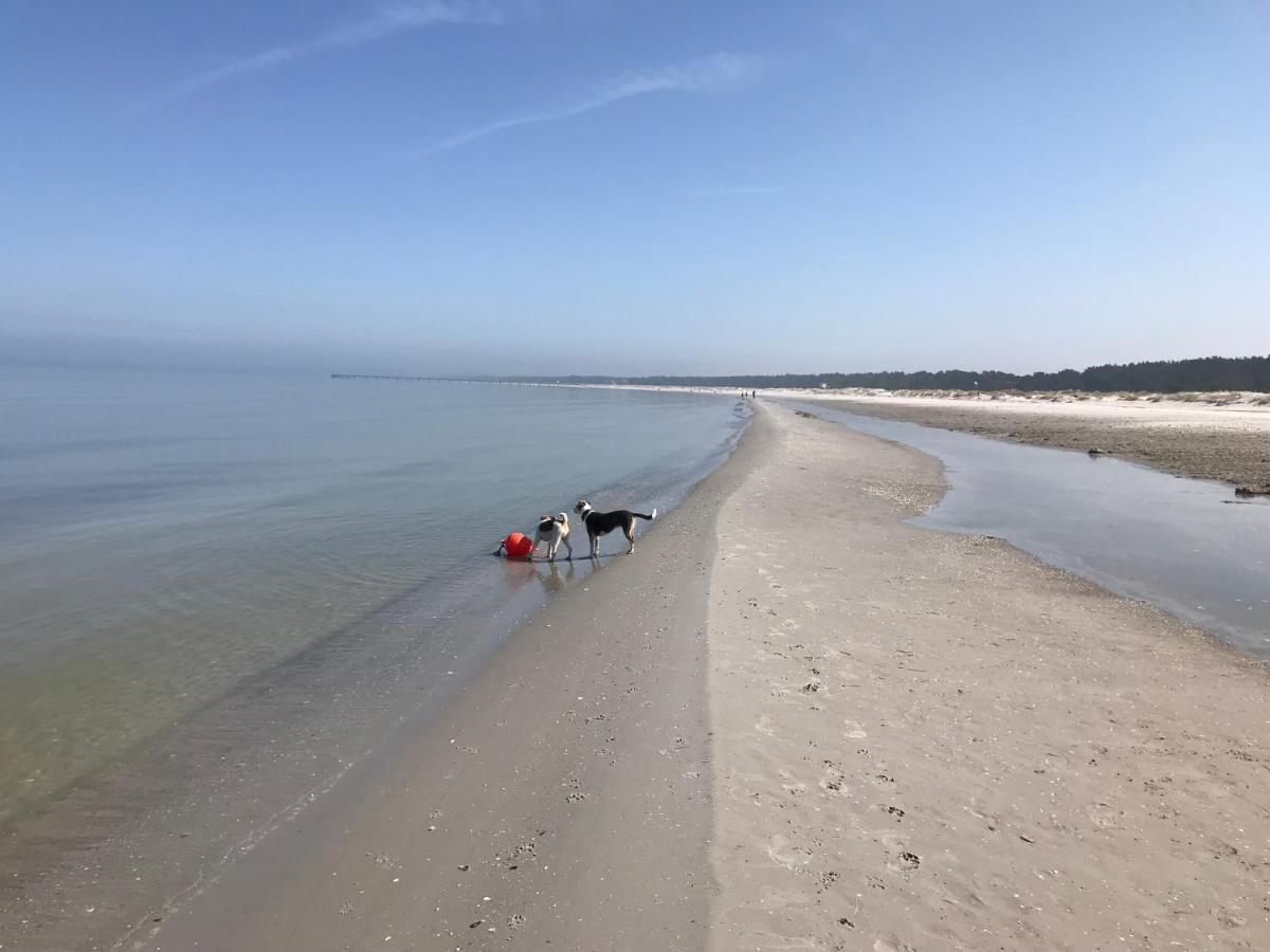 Ferienwohnung Strandperle Prerow Esterno foto