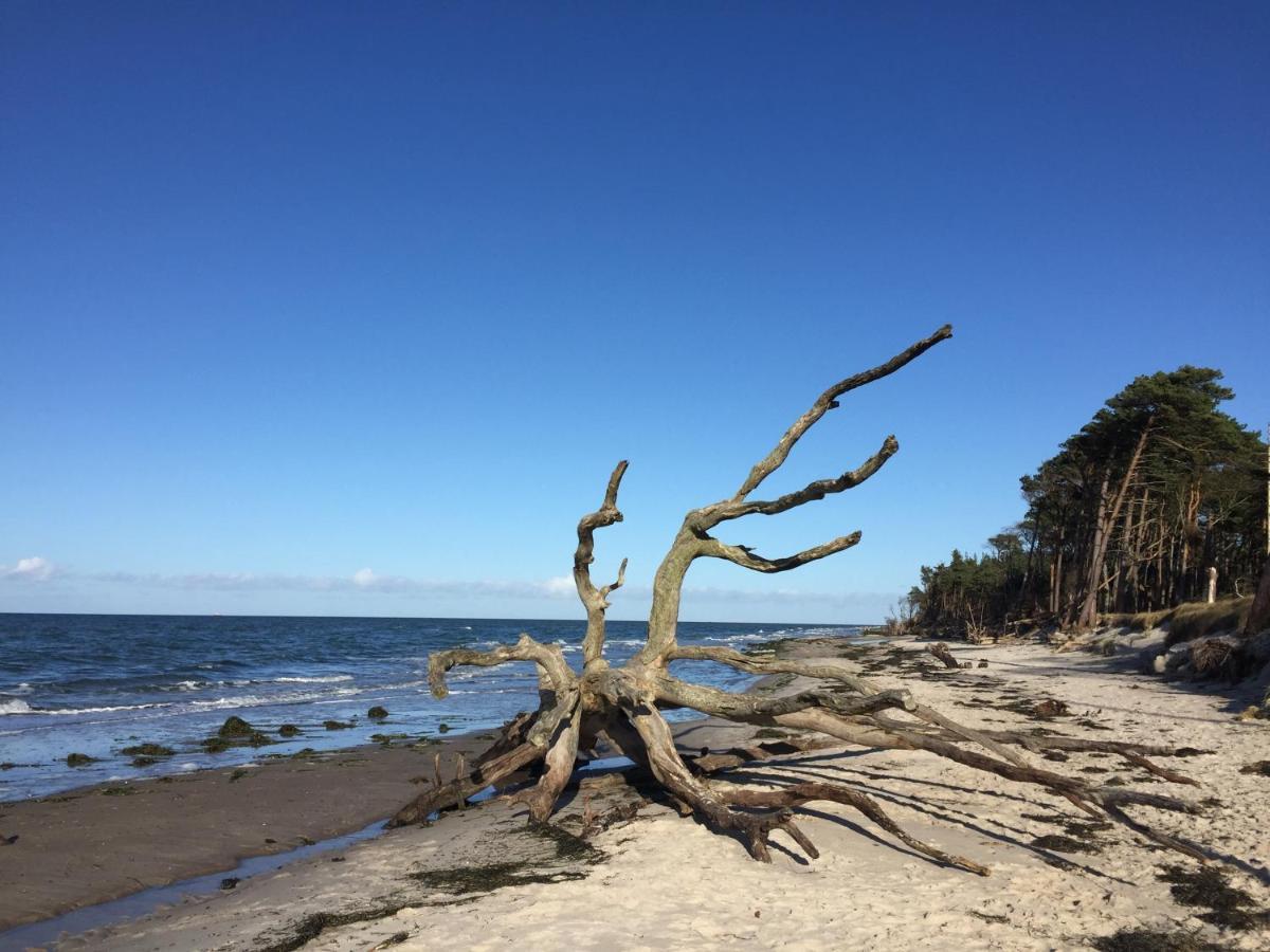 Ferienwohnung Strandperle Prerow Esterno foto